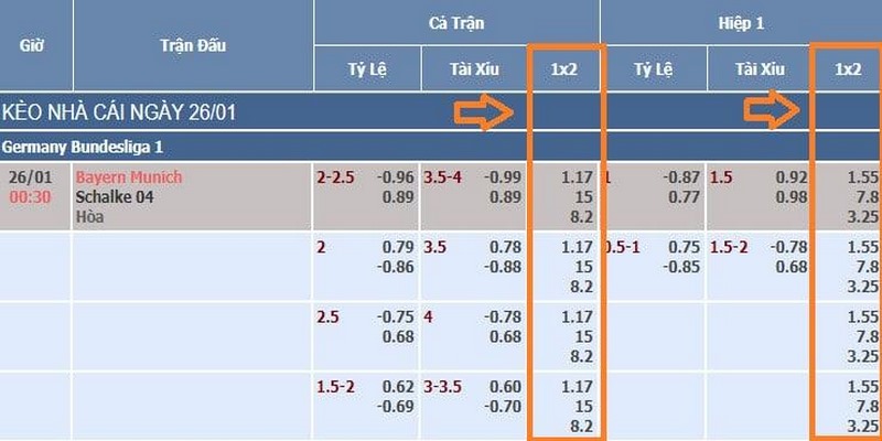 Cách đọc tỷ lệ Châu Âu đơn giản dành cho thành viên mới